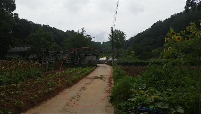서천리살인사건1.JPG