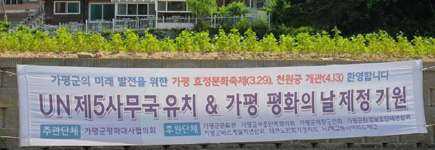 평화현수막.JPG