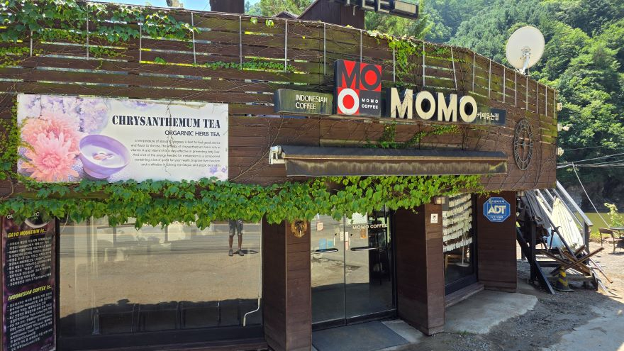 모모커피.jpg