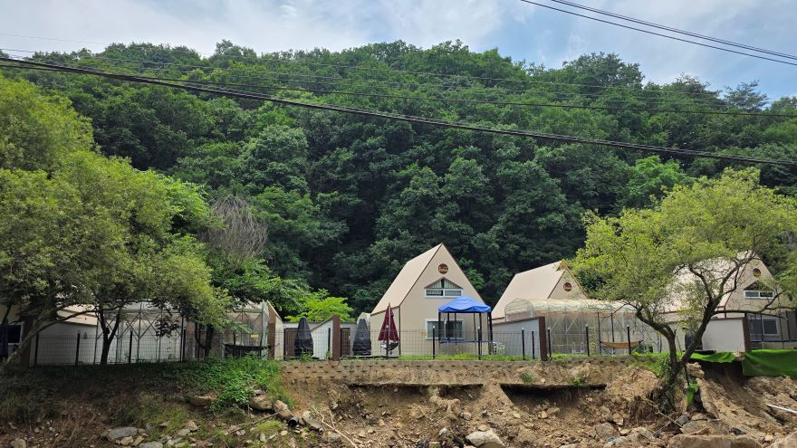 산사태 혼효림.jpg
