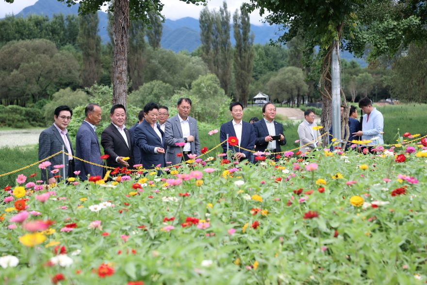 자라섬 꽃페스타 .jpg