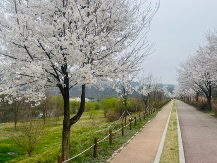 KakaoTalk_20250929_172239900_04.jpg
