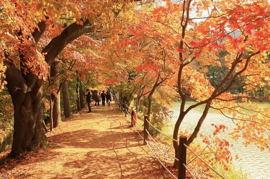(가)청평 옛 중앙내수면연구소 단풍길 개방행사, ‘성료’.JPG