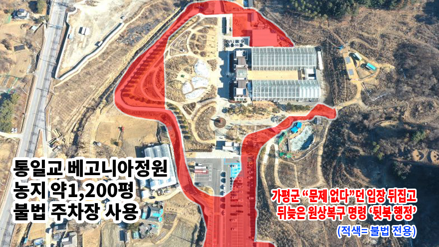 베고니아그래픽.jpg