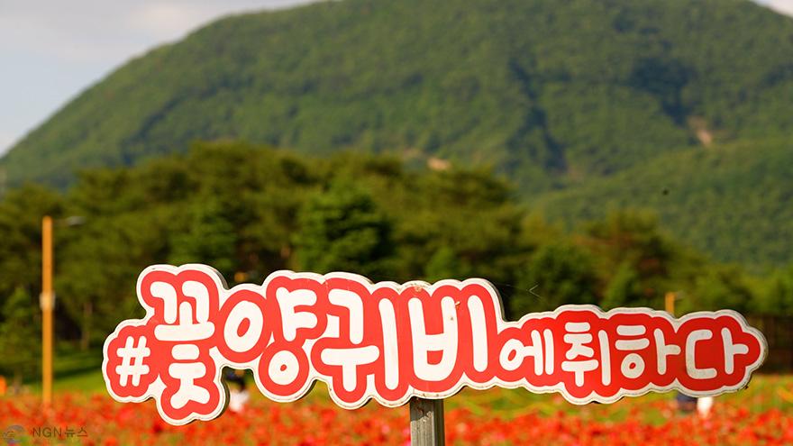 시퀀스 01.00_08_40_00.스틸 011.jpg