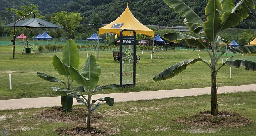 1-2 포천시, 한여울파크골프장 36홀 관외 이용객 개방2.jpg