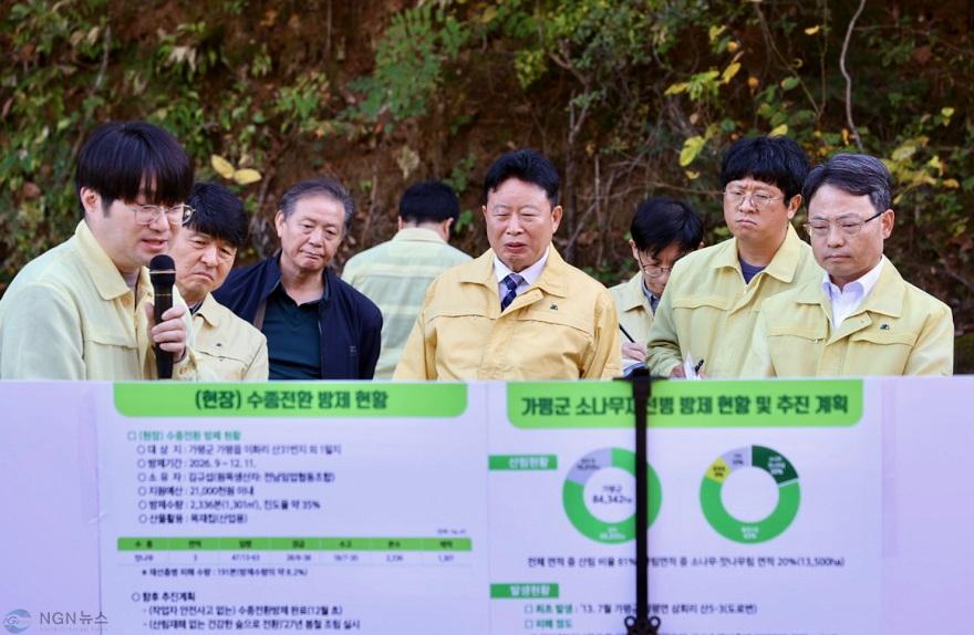 [추가보도]가평군, 산림청장과 소나무재선충병 긴급 현장점검1.jpg