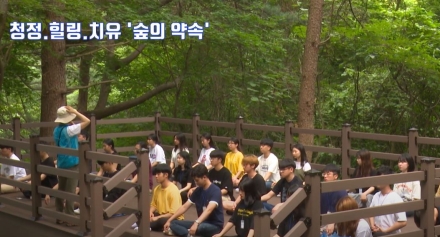 [기자의 눈] 가평, 다시 일어서는 절규 "두 번 죽이지 마세요"