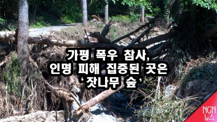 가평 폭우 참사…인명 피해 집중된 곳은 ‘잣나무 숲’