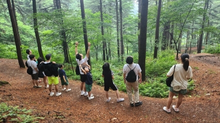 경기도, “폭염에 지친 여러분, 산림치유 프로그램 참여하세요”