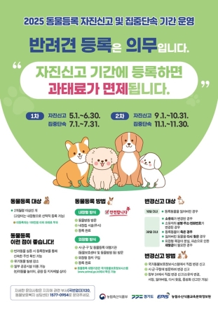 의정부시, 2025년 동물등록 자진신고 기간 운영
