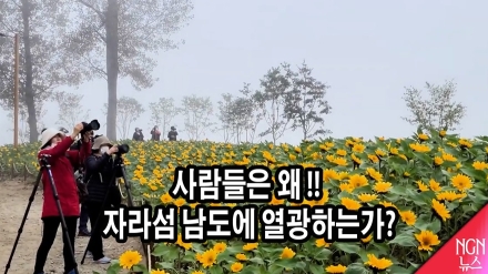 사람들은 왜 “자라섬 '남도'에 열광하는가!”