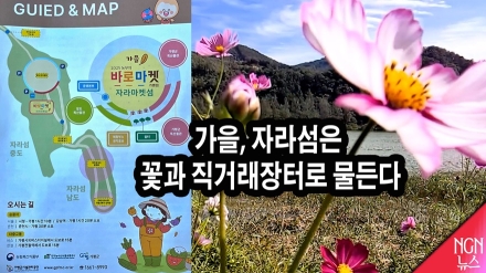 “꽃의 바다, 맛의 장터 — 올가을 자라섬으로!”