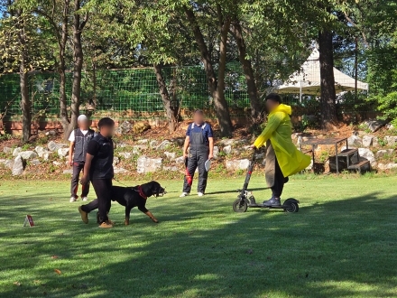 경기도, 맹견소유자는 10월 26일까지 ‘맹견사육허가’ 받아야