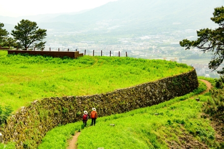 경기도, 광릉숲 사진 공모전 결과. 수상작 30작품 선정