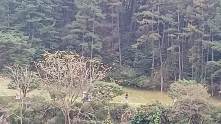 “골프장 작업 중 차량이 굴러 떨어졌다”…두 명의 죽음으로 드러난 골프장의 민낯
