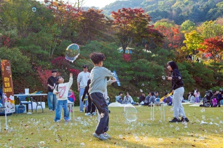 자연과 문화가 어우러진 힐링 축제, 청리움 ‘2025 가을걷이 축제’ 성황리 개최