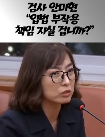 검사 안미현 "입법 부작용 책임 지실 겁니까?"