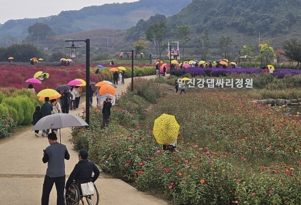 “연천군 중면 임진강 댑싸리정원 지역 관광명소로 우뚝!!”