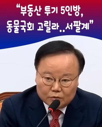 김재원 "부동산 투기 5인방, 동물국회 고릴라..서팔계"