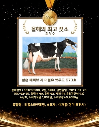 포천시 낙농농가, 2025년 ‘올해의 최고 젖소’ 배출