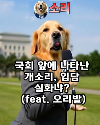 국회 앞에 나타난 개소리, 입담 실화냐? (feat. 오리발)