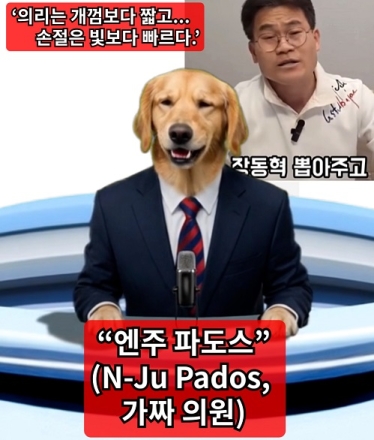 ‘의리는 개껌보다 짧고, 손절은 빛보다 빠르다 ’
