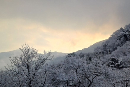 가평 화악산 조무락 계곡의 춘설(春雪)