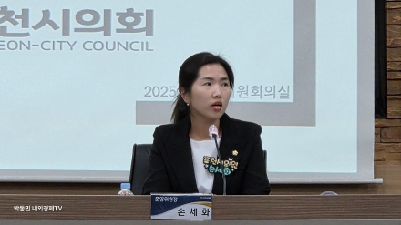 “사면·복당 후 시민 선택 받았는데”…“전남은 적격, 경기도는 부적격” 손세화 공천 배제