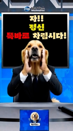 [개소리뉴스] 이게 나라야, 영화 시나리오야