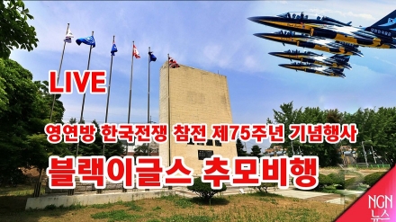 영연방 한국전쟁 참전 제75주년 기념행사 대한민국 공군 블랙이글스, 가슴 뭉클한 추모 비행 현장
