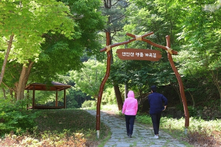경기도, “여름철 용추계곡 물놀이 조심하세요”…안전 관리 강화
