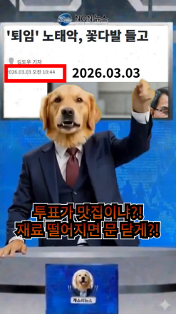 [개소리뉴스] 투표가 맛집이냐! 재료 떨어지면 문닫게?!