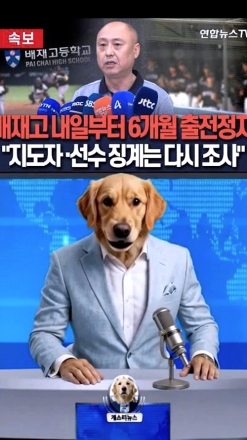 [개소리뉴스] 고작 "스벅 가야지"에 사형선고? 표현의 자유 멸종 위기 대한민국!
