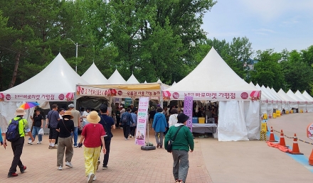 가평군, 자라섬 꽃 페스타 ‘바로마켓’ 참여자 모집