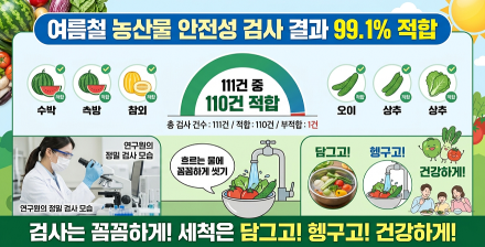 경기도보건환경연구원, 여름철 쌈채소 등 농산물 안전성 검사…99.1% 적합