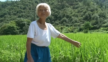 “늙어서 농사 못 짓는데, 땅은 어떻게 하나요”
