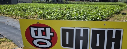 [르포] 34도 폭염에도 논밭 지키는 70대…농지 전수조사 앞둔 경기북부