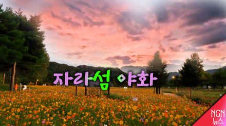 자라섬 야화