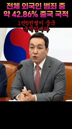 "전체 외국인 범죄 중 약 42 86% 중국 국적"