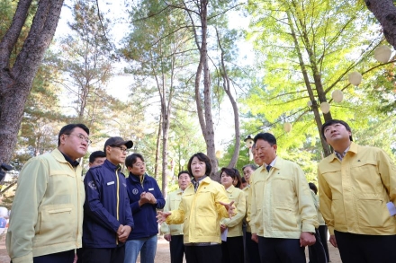 추미애 재선충 긴급 방제에 ‘신약 개발’ 주장까지…검증 없는 혈세 투입 우려