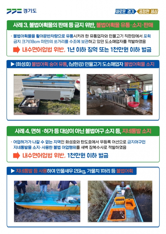 허가 없이 그물로 물고기 대량 포획, 금어기에 쏘가리 낚시 등 경기도 특사경, 내수면 불법 어업행위 12건 적발