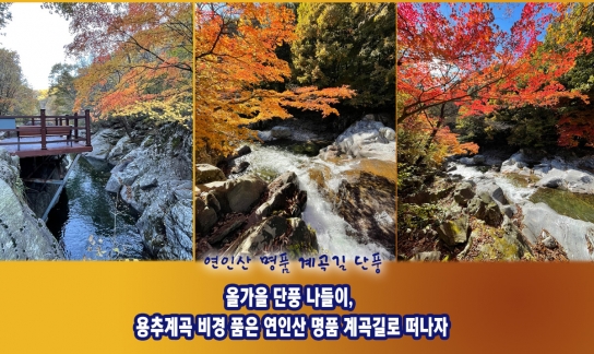 올가을 단풍 나들이, 용추계곡 비경 품은 연인산 명품 계곡길로 떠나자