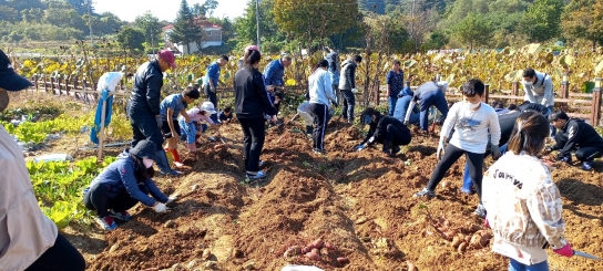 포천시, ‘2022 소확행 시민텃밭’ 다음에 다시 만나요~