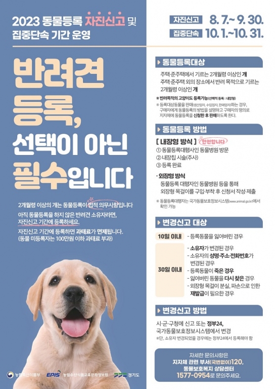 남양주시, 9월 말까지 동물등록 자진신고 기간 운영