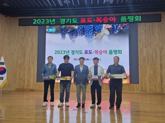 포천시, 경기도 포도 품평회 ‘캠벨얼리’ 부문 대상 수상