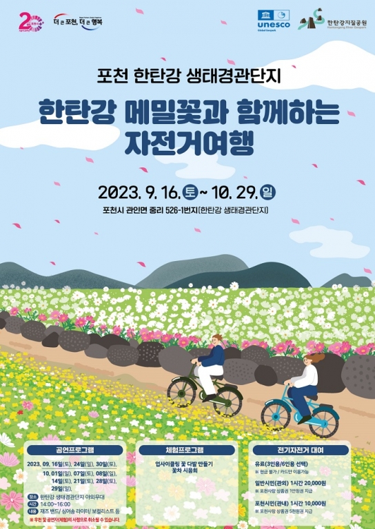 포천시, 한탄강 생태경관단지 가을꽃정원 운영 “한탄강 메밀꽃과 함께하는 자전거 여행”