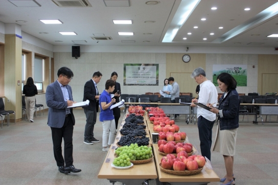 포천 루비에스 사과, 대한민국 최대 과일 박람회 전시