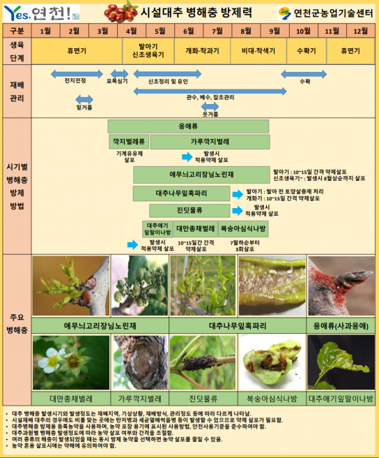 연천군, 대추 병해충 방제력 제작 배부