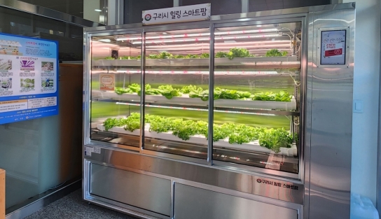 구리시, 미래를 향한 농업으로의 첫걸음 ‘힐링 스마트팜’ 설치